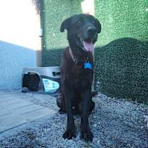 Thumbnail photo of Riley #1