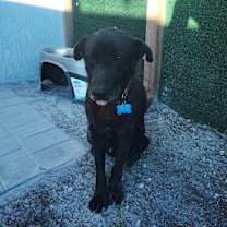 Thumbnail photo of Riley #3