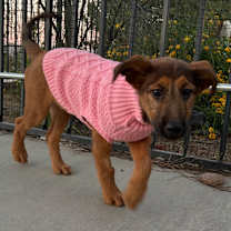 Thumbnail photo of Omara #1