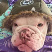 Thumbnail photo of Wilbert #3