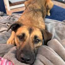 Thumbnail photo of Allie * #2