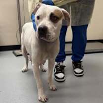 Thumbnail photo of Heaven #2