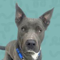 Thumbnail photo of Remington #1