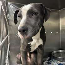 Thumbnail photo of May #2