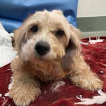 Thumbnail photo of Nancy #1