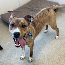 Thumbnail photo of Dillan #3