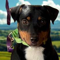 Thumbnail photo of Pedro #1