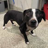 Thumbnail photo of Louise* #2