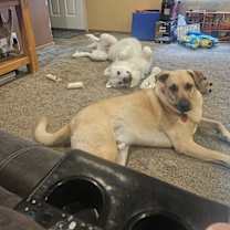 Thumbnail photo of Rocky #4