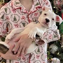 Thumbnail photo of Snoop Dogg #3