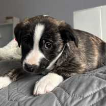 Thumbnail photo of Eve #2