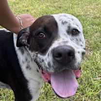 Thumbnail photo of INKY #1