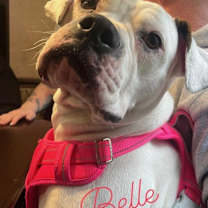 Thumbnail photo of Belle #3