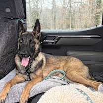 Thumbnail photo of Moirai #2