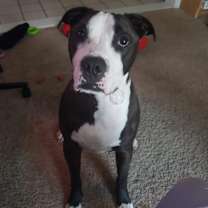 Thumbnail photo of Cairo #3