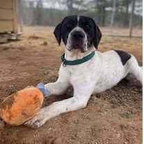 Thumbnail photo of Hamilton #4