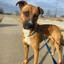 Thumbnail photo of Sprig #3