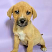 Thumbnail photo of Breezy #2