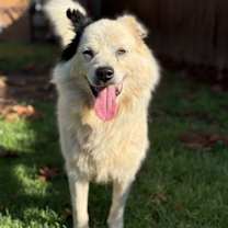 Thumbnail photo of SPUNKY #1