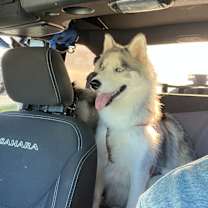 Thumbnail photo of Luna #2