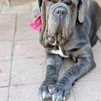 Thumbnail photo of Fiona #2