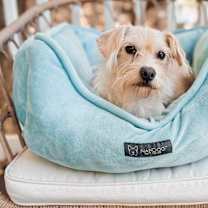 Thumbnail photo of Bitsy #3