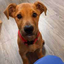 Thumbnail photo of Samsone!! #1