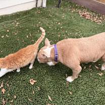 Thumbnail photo of Tilly #3