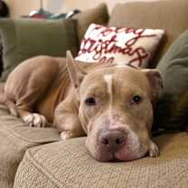 Thumbnail photo of Tilly #4