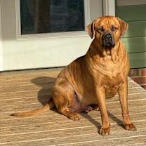 Thumbnail photo of Goober #4