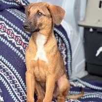 Thumbnail photo of Nature Litter: River  #2