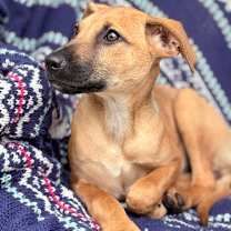 Thumbnail photo of Nature Litter: Stormy #3