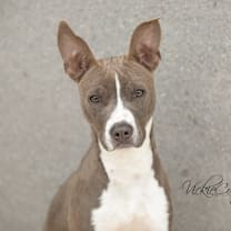 Thumbnail photo of Annie Wilks #1