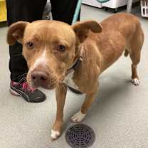 Thumbnail photo of Marzie #2