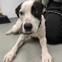 Thumbnail photo of Rachel #2