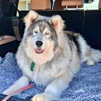 Thumbnail photo of Paris Hilton #1