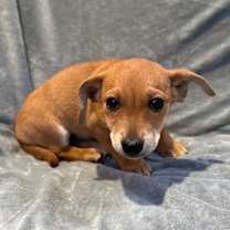 Thumbnail photo of Quinn #2