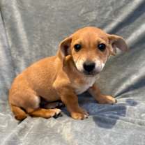 Thumbnail photo of Quinn #3