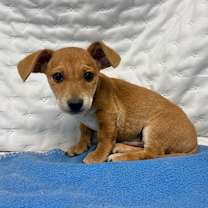 Thumbnail photo of Quinn #4