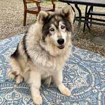 Thumbnail photo of Paris Hilton #4