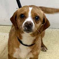 Thumbnail photo of Charlie #3