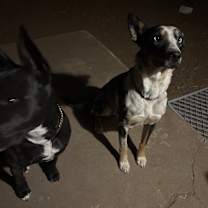 Thumbnail photo of Glow #4