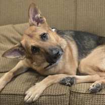 Thumbnail photo of Tucker #2