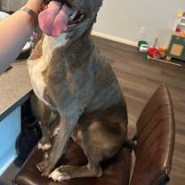 Thumbnail photo of Banner #1