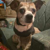 Thumbnail photo of Albert #1