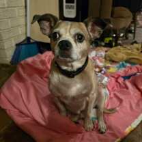 Thumbnail photo of Albert #2