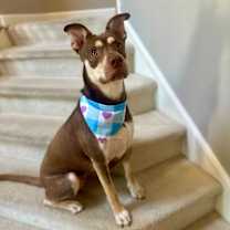 Thumbnail photo of Yuki #2