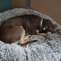 Thumbnail photo of Yuki #4