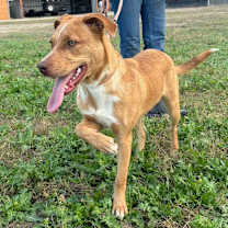 Thumbnail photo of Hazel JuM  #2