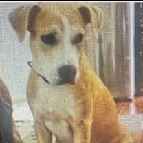 Thumbnail photo of Sandler JuM #2